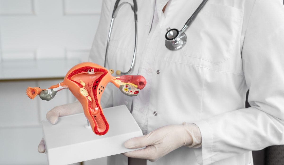 EN-B-OBGYN-CN2301-V459_20260503_023214_v1