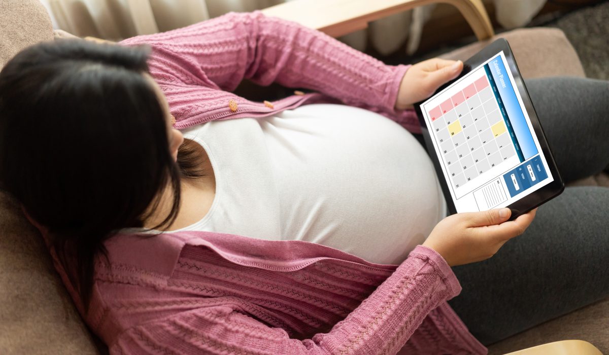 Calendar on computer software application for modish schedule planning for personal organizer and online business